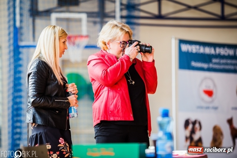 Zdjęcie w galerii na portalu naszraciborz.pl: W Rudach trwa Wystawa Psów Rasowych wiadomości z regionu