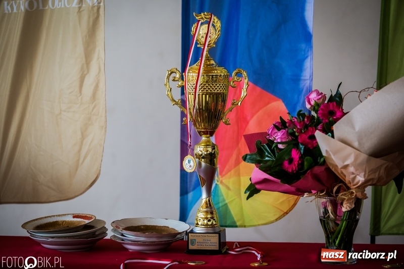 Zdjęcie w galerii na portalu naszraciborz.pl: W Rudach trwa Wystawa Psów Rasowych wiadomości z regionu