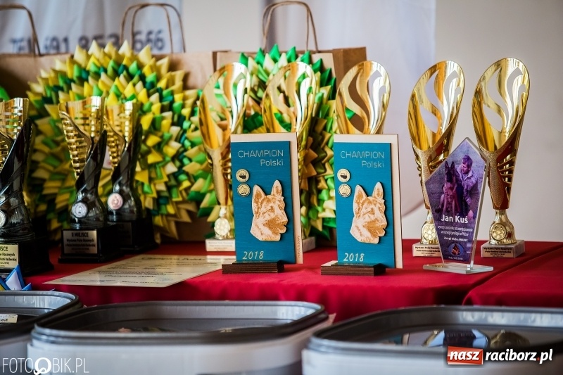 Zdjęcie w galerii na portalu naszraciborz.pl: W Rudach trwa Wystawa Psów Rasowych wiadomości z regionu