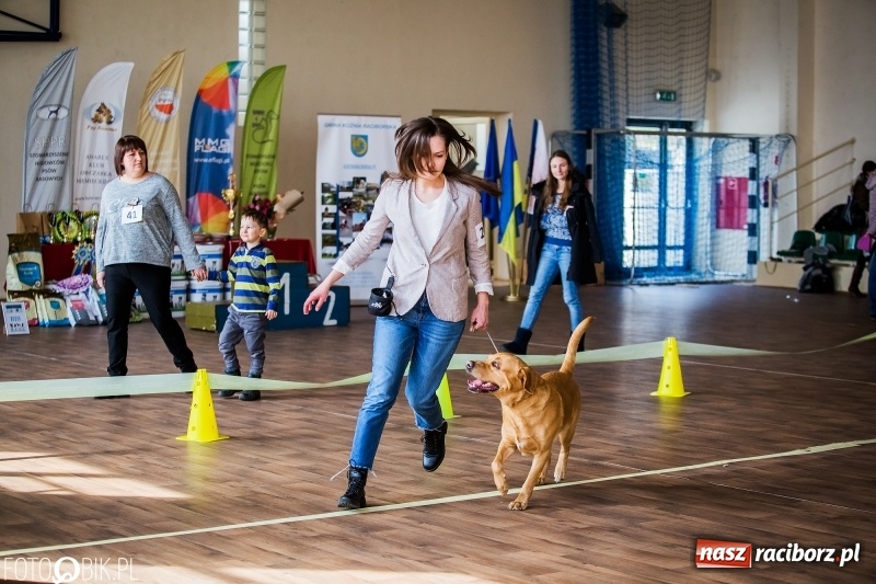 Zdjęcie w galerii na portalu naszraciborz.pl: W Rudach trwa Wystawa Psów Rasowych wiadomości z regionu