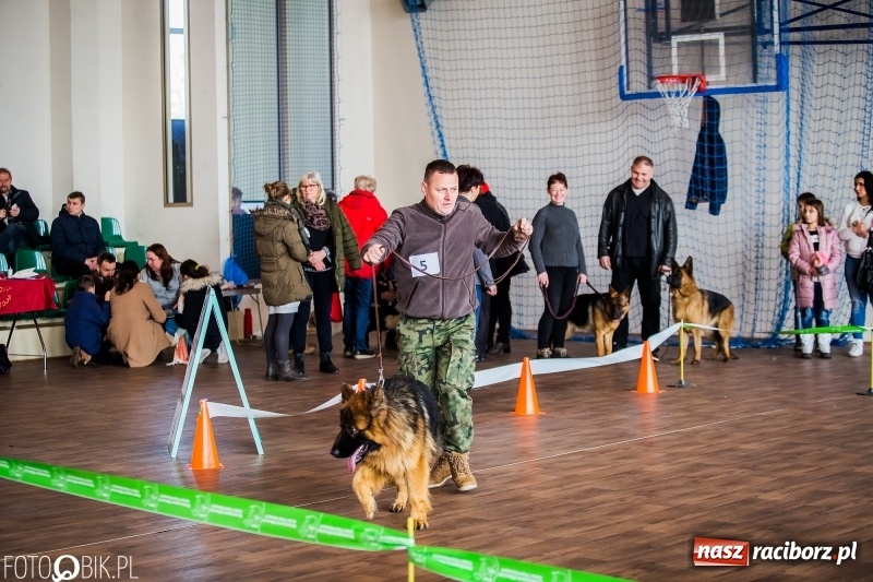 Zdjęcie w galerii na portalu naszraciborz.pl: W Rudach trwa Wystawa Psów Rasowych wiadomości z regionu