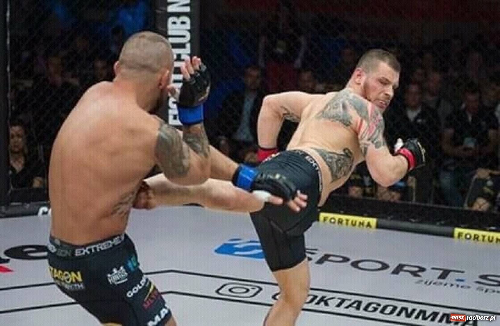 Zdjęcie w galerii na portalu naszraciborz.pl: Wielka gala MMA w Ostrawie z raciborskim akcentem wiadomości z regionu