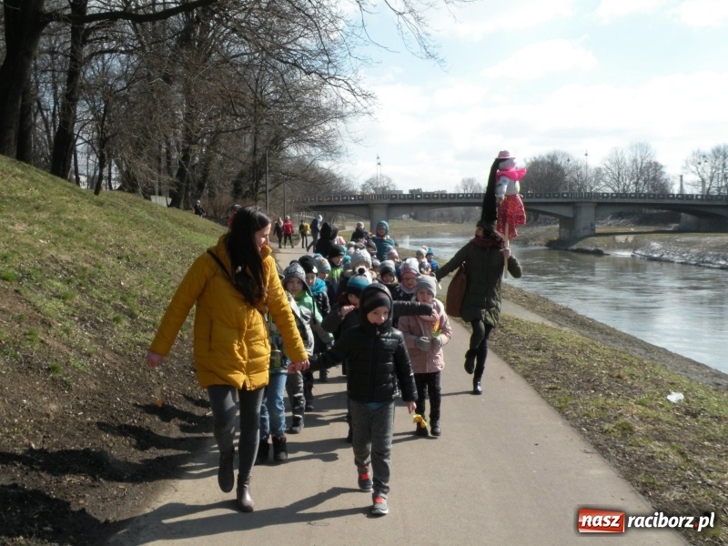 Zdjęcie w galerii na portalu naszraciborz.pl: Pierwszy dzień wiosny z Raciborskim Centrum Kultury wiadomości z regionu