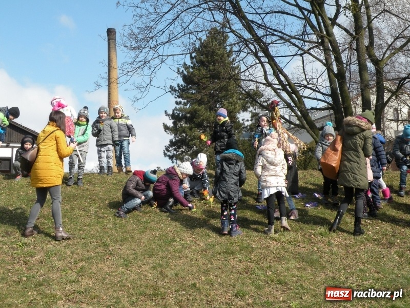 Zdjęcie w galerii na portalu naszraciborz.pl: Pierwszy dzień wiosny z Raciborskim Centrum Kultury wiadomości z regionu