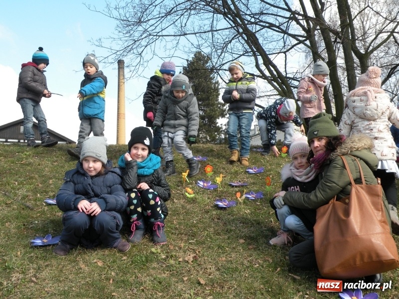 Zdjęcie w galerii na portalu naszraciborz.pl: Pierwszy dzień wiosny z Raciborskim Centrum Kultury wiadomości z regionu