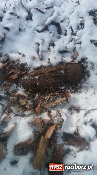 Zdjęcie w galerii na portalu naszraciborz.pl: W rezerwacie Łężczok znaleziono niewybuch  wiadomości z regionu