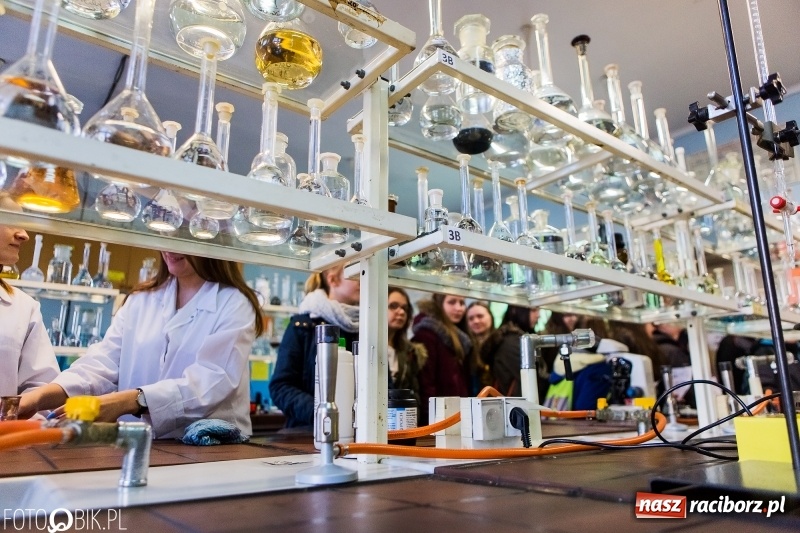 Zdjęcie w galerii na portalu naszraciborz.pl: Budowlanka i Gastronomik promuje szkołę na Dniach Otwartych wiadomości z regionu