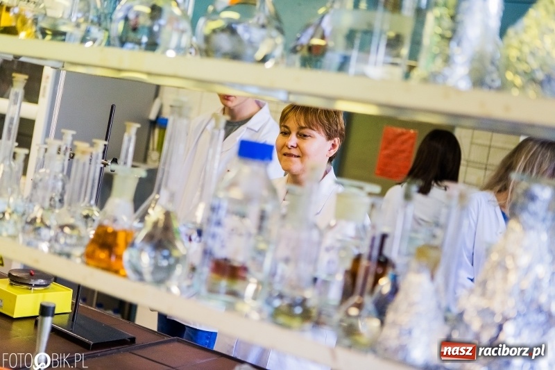 Zdjęcie w galerii na portalu naszraciborz.pl: Budowlanka i Gastronomik promuje szkołę na Dniach Otwartych wiadomości z regionu