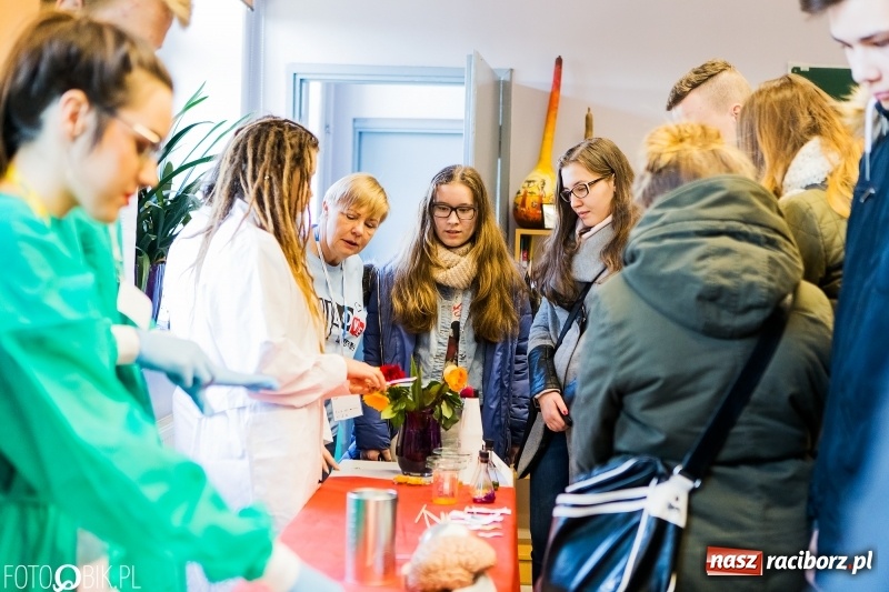 Zdjęcie w galerii na portalu naszraciborz.pl: W II Liceum Ogólnokształcącym trwają Dni Otwarte wiadomości z regionu