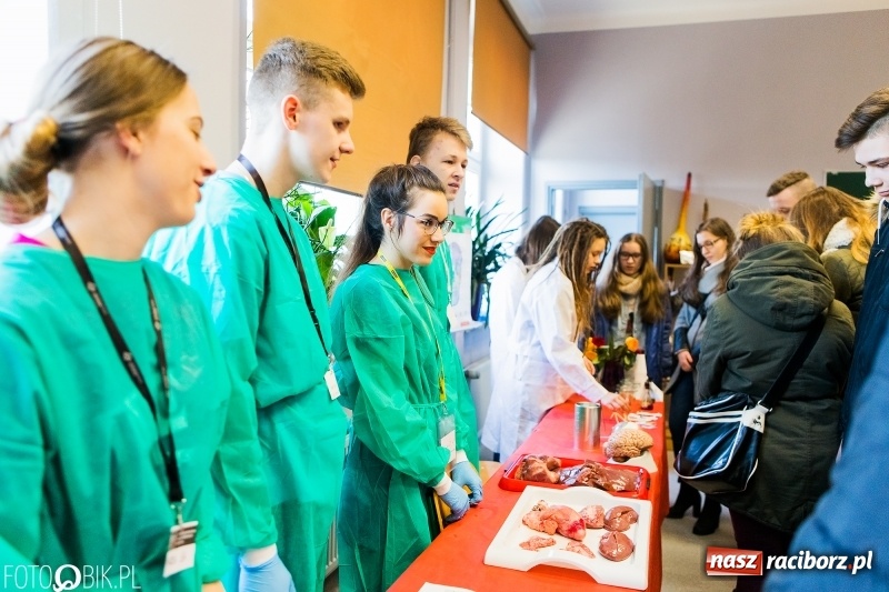 Zdjęcie w galerii na portalu naszraciborz.pl: W II Liceum Ogólnokształcącym trwają Dni Otwarte wiadomości z regionu