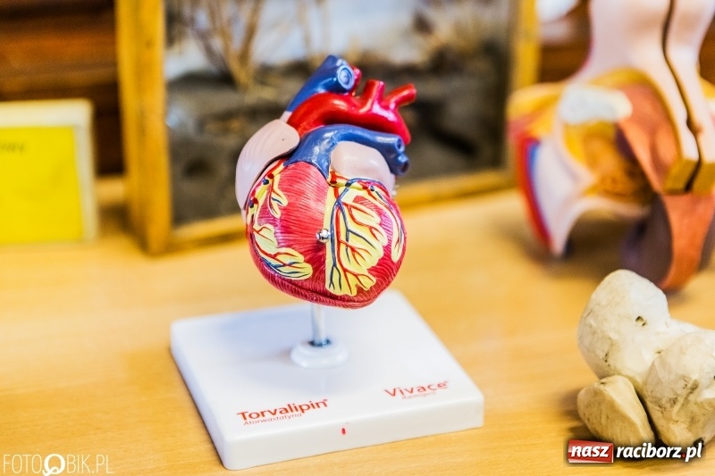 Zdjęcie w galerii na portalu naszraciborz.pl: W II Liceum Ogólnokształcącym trwają Dni Otwarte wiadomości z regionu