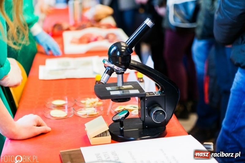 Zdjęcie w galerii na portalu naszraciborz.pl: W II Liceum Ogólnokształcącym trwają Dni Otwarte wiadomości z regionu