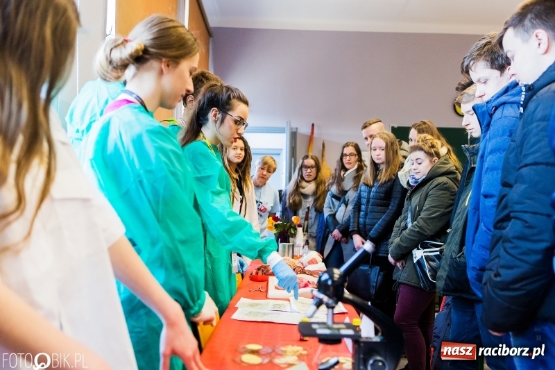 Zdjęcie w galerii na portalu naszraciborz.pl: W II Liceum Ogólnokształcącym trwają Dni Otwarte wiadomości z regionu