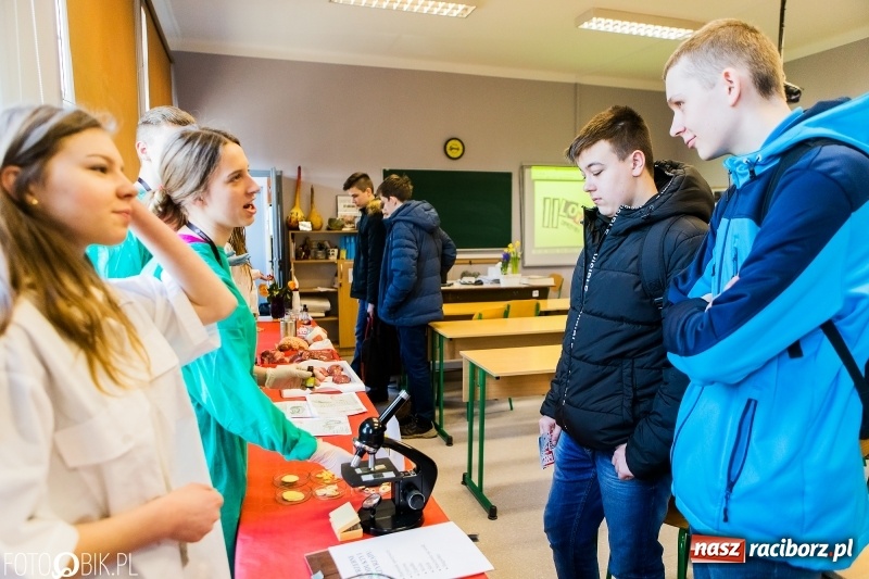 Zdjęcie w galerii na portalu naszraciborz.pl: W II Liceum Ogólnokształcącym trwają Dni Otwarte wiadomości z regionu