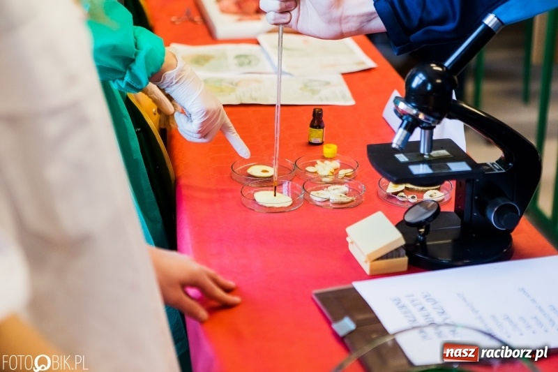 Zdjęcie w galerii na portalu naszraciborz.pl: W II Liceum Ogólnokształcącym trwają Dni Otwarte wiadomości z regionu