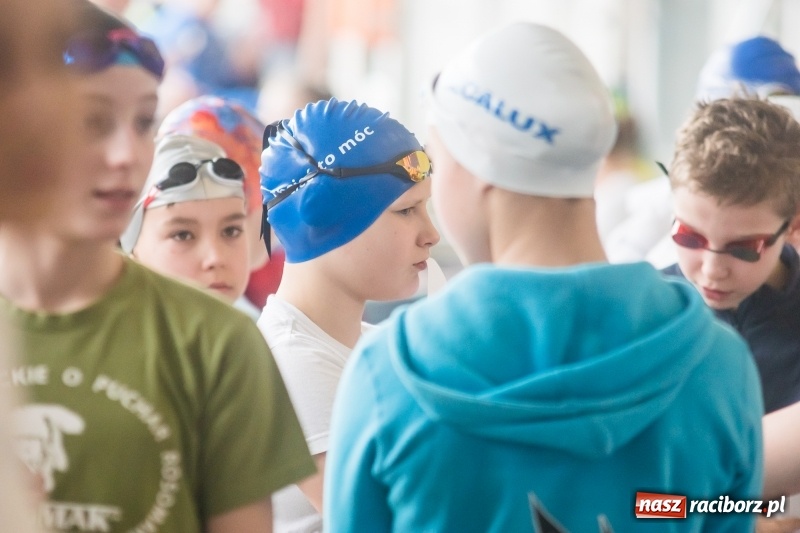 Zdjęcie w galerii na portalu naszraciborz.pl: Międzywojewódzkie Drużynowe Mistrzostwa Młodzików na pływalni ZSOMS wiadomości z regionu