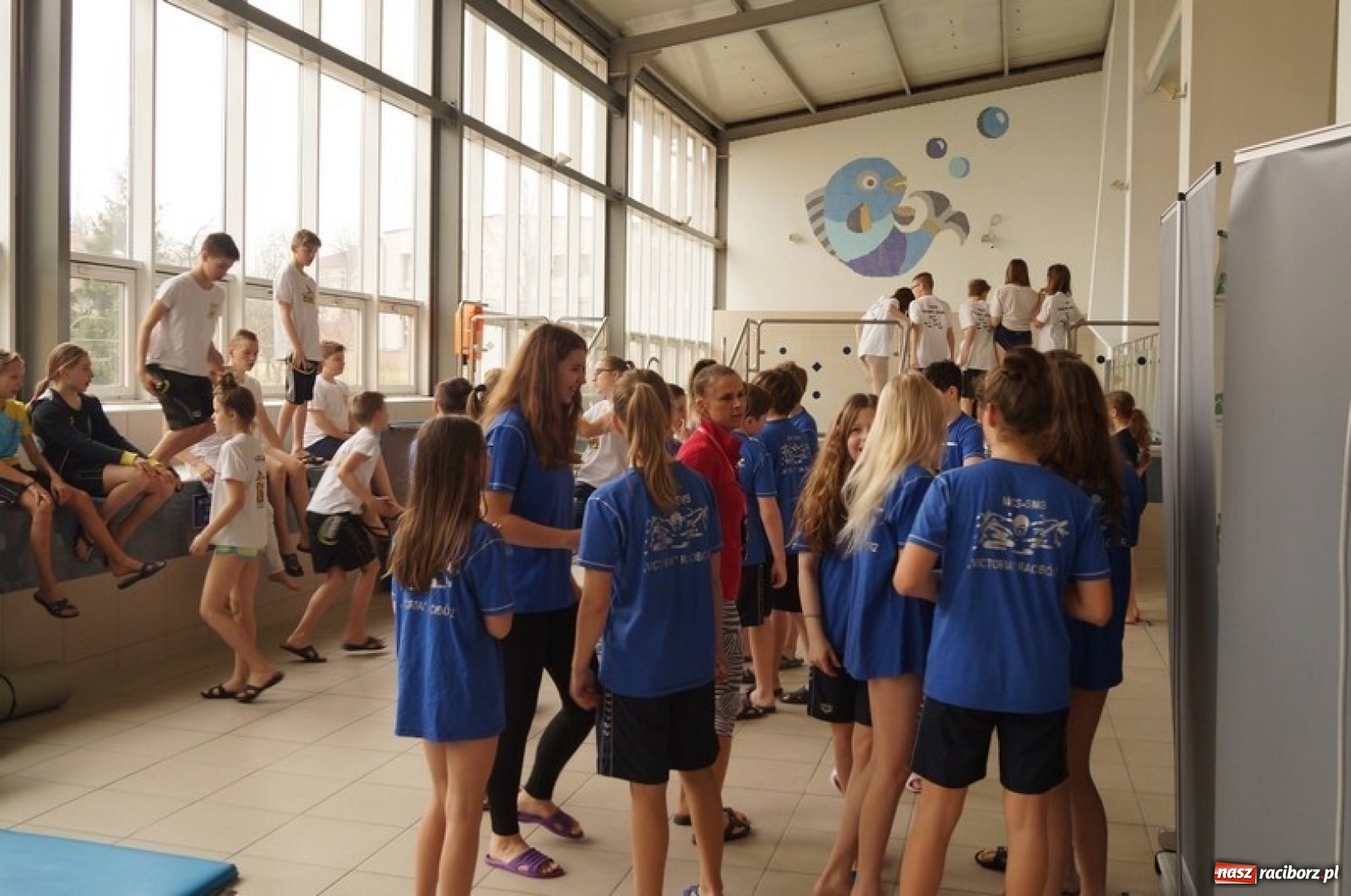 Zdjęcie w galerii na portalu naszraciborz.pl: Pływanie. Drużynowe Mistrzostwa Młodzików 12-letnich na pływalni ZSOMS wiadomości z regionu