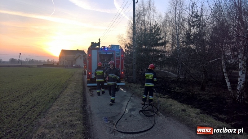 Zdjęcie w galerii na portalu naszraciborz.pl: Pożar zagajnika w Rudzie  wiadomości z regionu