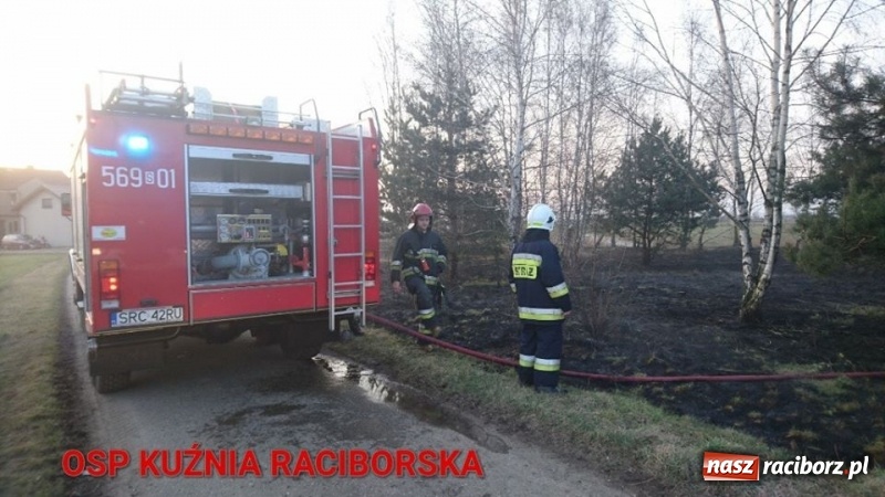 Zdjęcie w galerii na portalu naszraciborz.pl: Pożar zagajnika w Rudzie  wiadomości z regionu