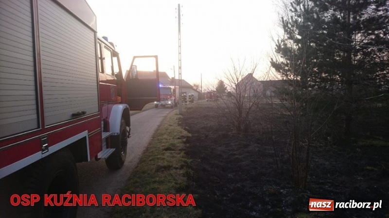 Zdjęcie w galerii na portalu naszraciborz.pl: Pożar zagajnika w Rudzie  wiadomości z regionu