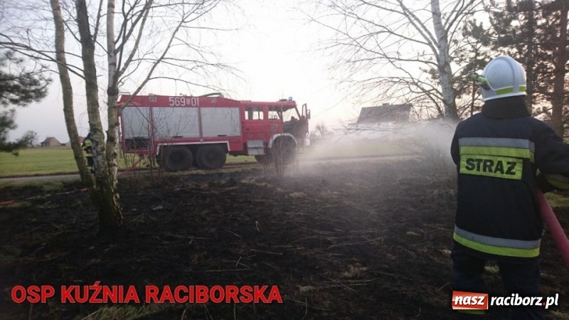 Zdjęcie w galerii na portalu naszraciborz.pl: Pożar zagajnika w Rudzie  wiadomości z regionu