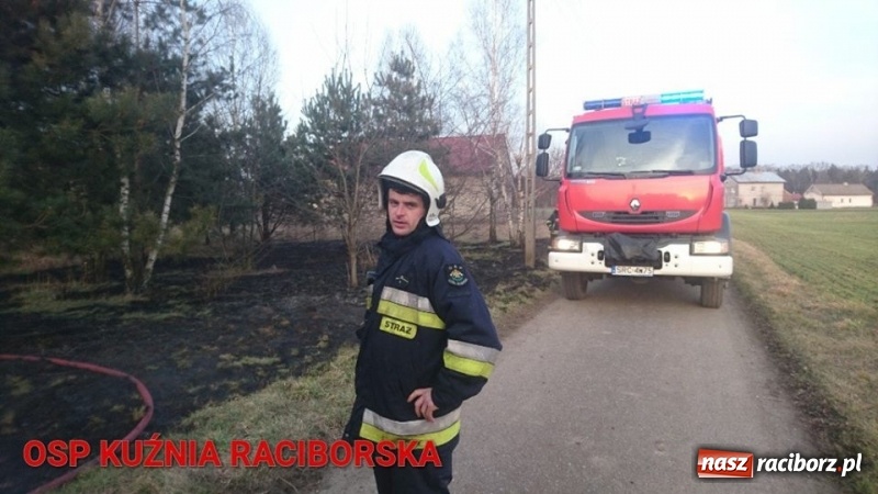 Zdjęcie w galerii na portalu naszraciborz.pl: Pożar zagajnika w Rudzie  wiadomości z regionu