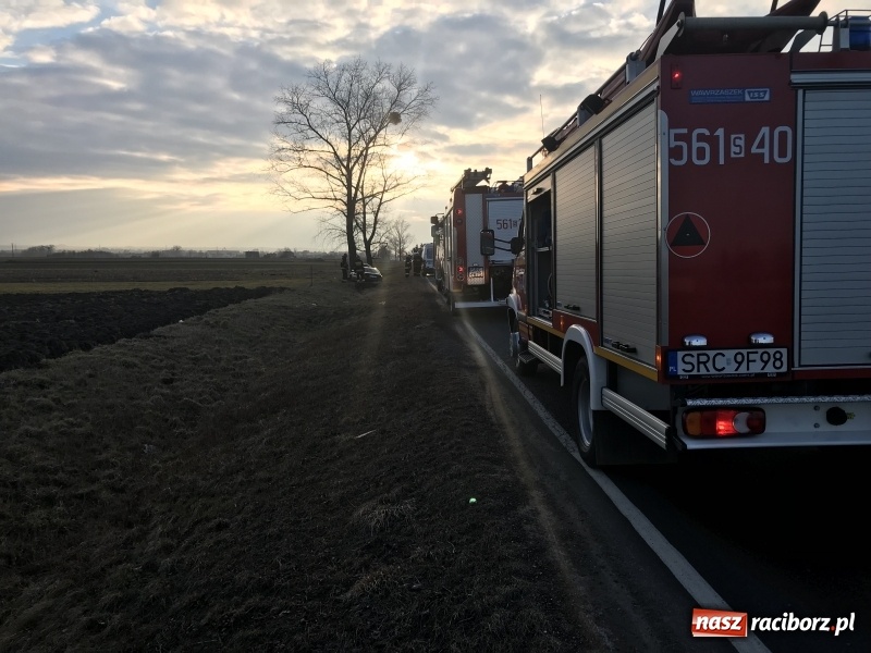 Zdjęcie w galerii na portalu naszraciborz.pl: Volvo uderzyło w drzewo na DW 416  wiadomości z regionu