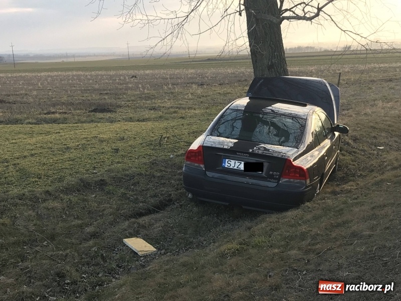 Zdjęcie w galerii na portalu naszraciborz.pl: Volvo uderzyło w drzewo na DW 416  wiadomości z regionu