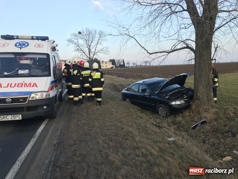 Zdjęcie w galerii na portalu naszraciborz.pl: Volvo uderzyło w drzewo na DW 416  wiadomości z regionu