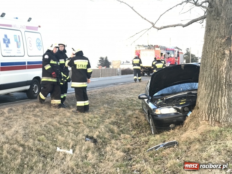 Zdjęcie w galerii na portalu naszraciborz.pl: Volvo uderzyło w drzewo na DW 416  wiadomości z regionu