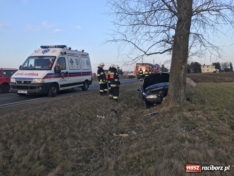 Zdjęcie w galerii na portalu naszraciborz.pl: Volvo uderzyło w drzewo na DW 416  wiadomości z regionu