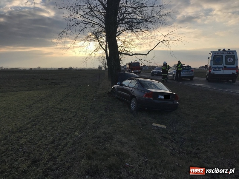 Zdjęcie w galerii na portalu naszraciborz.pl: Volvo uderzyło w drzewo na DW 416  wiadomości z regionu