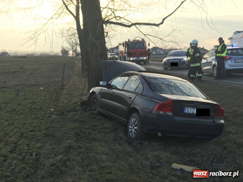 Zdjęcie w galerii na portalu naszraciborz.pl: Volvo uderzyło w drzewo na DW 416  wiadomości z regionu
