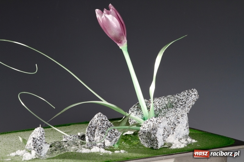 Zdjęcie w galerii na portalu naszraciborz.pl: Jakość ponad wszystko! Już wkrótce mistrzowskie lody w Raciborzu wiadomości z regionu