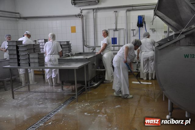 Zdjęcie w galerii na portalu naszraciborz.pl: Zwiedzili raciborską mleczarnię wiadomości z regionu