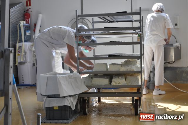 Zdjęcie w galerii na portalu naszraciborz.pl: Zwiedzili raciborską mleczarnię wiadomości z regionu