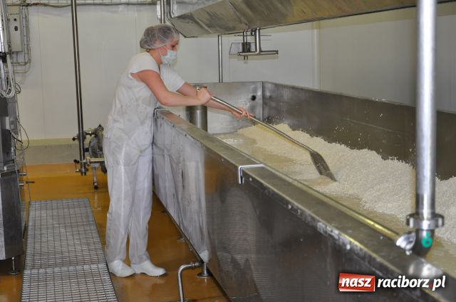 Zdjęcie w galerii na portalu naszraciborz.pl: Zwiedzili raciborską mleczarnię wiadomości z regionu