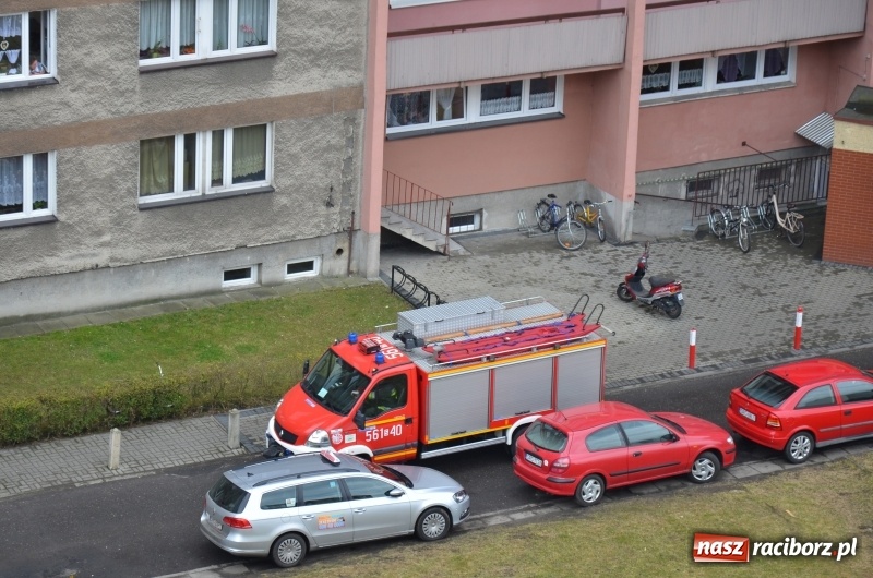 Zdjęcie w galerii na portalu naszraciborz.pl: Akcja służb ratunkowych na Katowickiej  wiadomości z regionu
