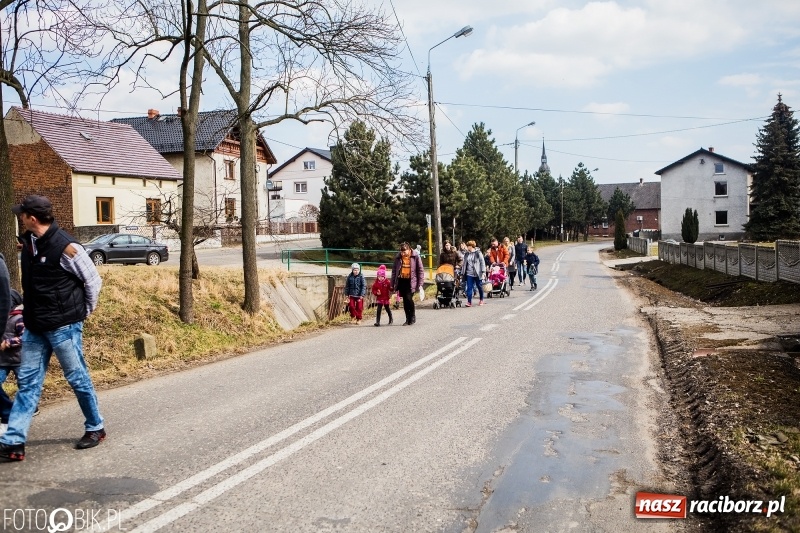 Zdjęcie w galerii na portalu naszraciborz.pl: Wędrowanie z kołatkami w Sudole wiadomości z regionu