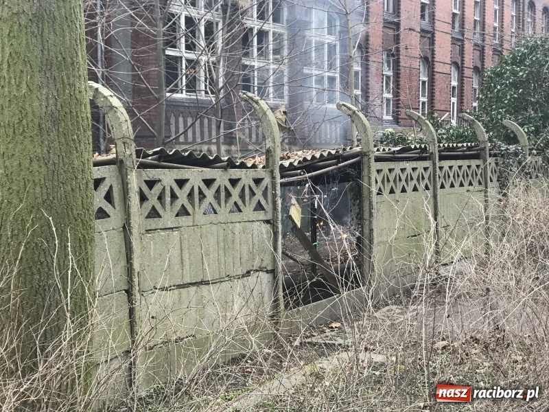 Zdjęcie w galerii na portalu naszraciborz.pl: Pożar na terenie starego szpitala  wiadomości z regionu