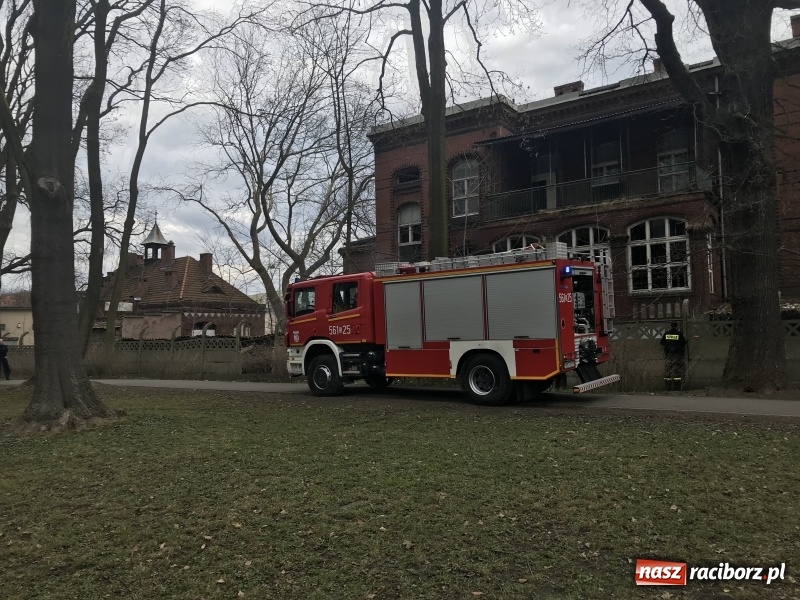 Zdjęcie w galerii na portalu naszraciborz.pl: Pożar na terenie starego szpitala  wiadomości z regionu