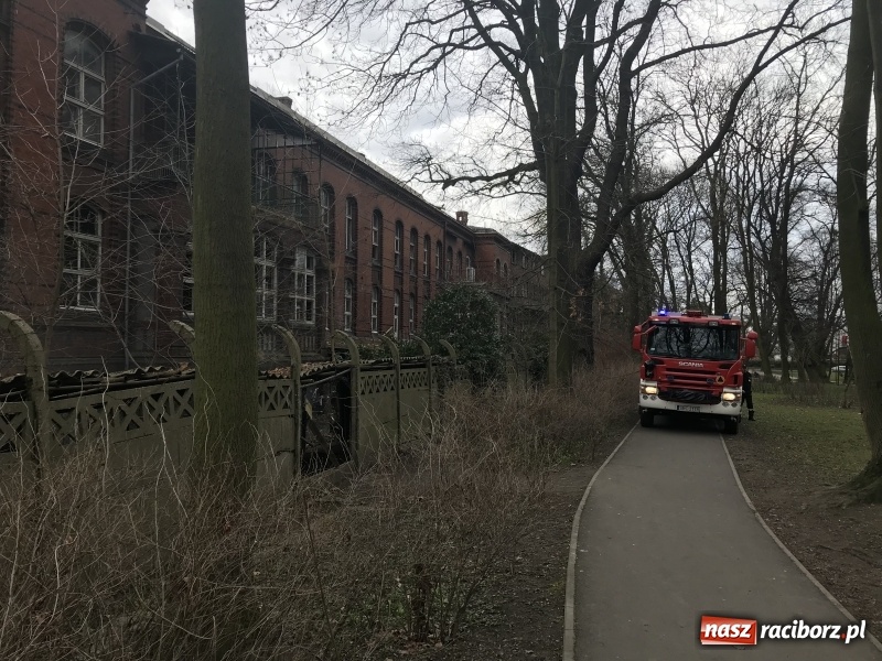 Zdjęcie w galerii na portalu naszraciborz.pl: Pożar na terenie starego szpitala  wiadomości z regionu