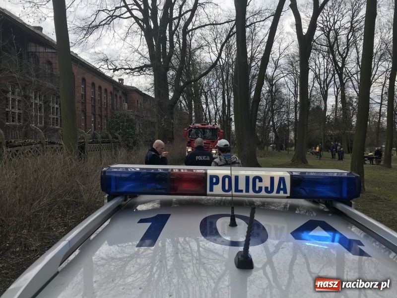 Zdjęcie w galerii na portalu naszraciborz.pl: Pożar na terenie starego szpitala  wiadomości z regionu