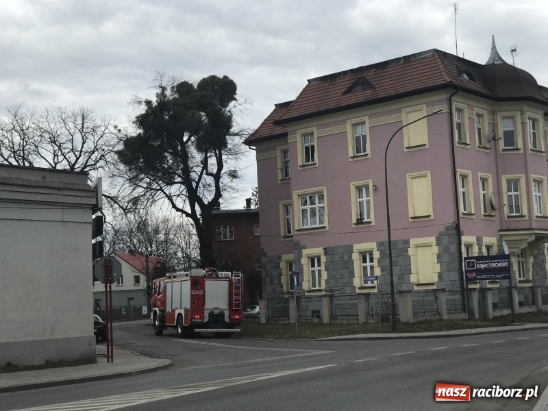 Zdjęcie w galerii na portalu naszraciborz.pl: Zadymienie ujawniło kolejne zagrożenie. Akcja strażaków na Bosackiej FOTO i WIDEO wiadomości z regionu