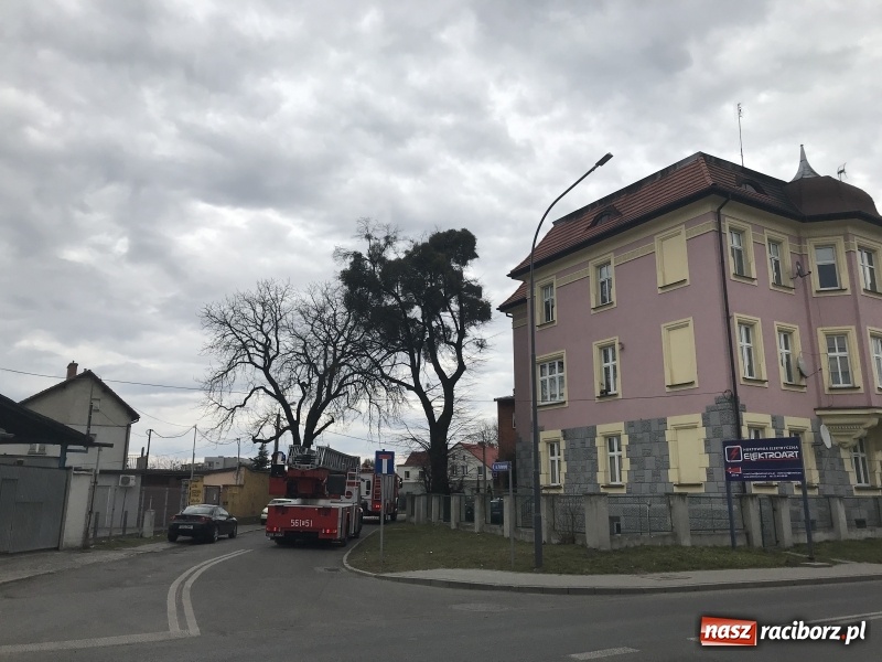 Zdjęcie w galerii na portalu naszraciborz.pl: Zadymienie ujawniło kolejne zagrożenie. Akcja strażaków na Bosackiej FOTO i WIDEO wiadomości z regionu