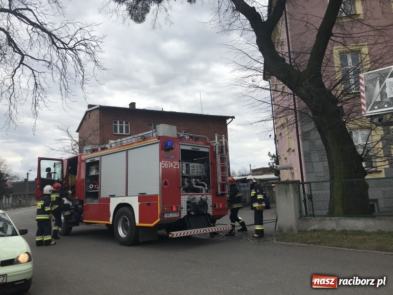 Zdjęcie w galerii na portalu naszraciborz.pl: Zadymienie ujawniło kolejne zagrożenie. Akcja strażaków na Bosackiej FOTO i WIDEO wiadomości z regionu