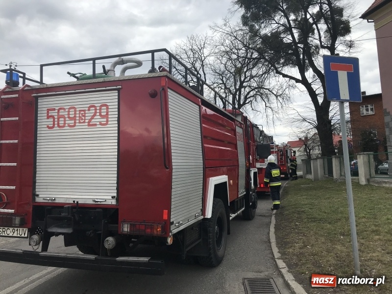 Zdjęcie w galerii na portalu naszraciborz.pl: Zadymienie ujawniło kolejne zagrożenie. Akcja strażaków na Bosackiej FOTO i WIDEO wiadomości z regionu