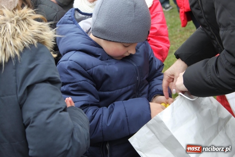 Zdjęcie w galerii na portalu naszraciborz.pl: Wojnowice. Spotkanie wielkanocne na ogrodach plebanijnych  wiadomości z regionu