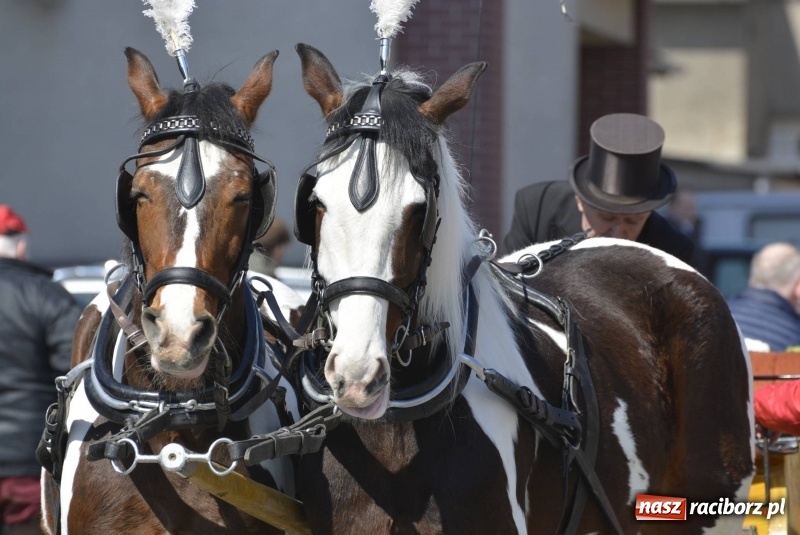 Zdjęcie w galerii na portalu naszraciborz.pl: Pietrowicka procesja z czeskim akcentem  wiadomości z regionu