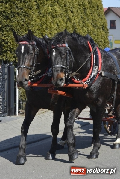 Zdjęcie w galerii na portalu naszraciborz.pl: Pietrowicka procesja z czeskim akcentem  wiadomości z regionu